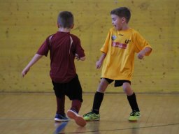 mini-IMG_6937